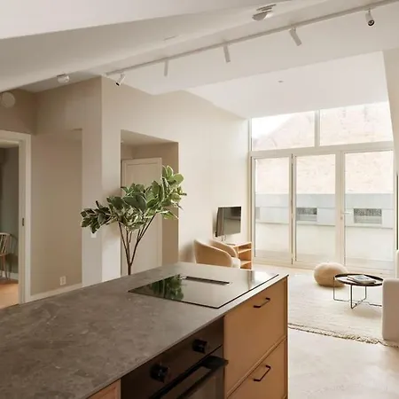 Dinbnb Gruenerlokka I Penthouse With Private Rooftop I 2 Bedrooms & 1 Bathroom 아파트