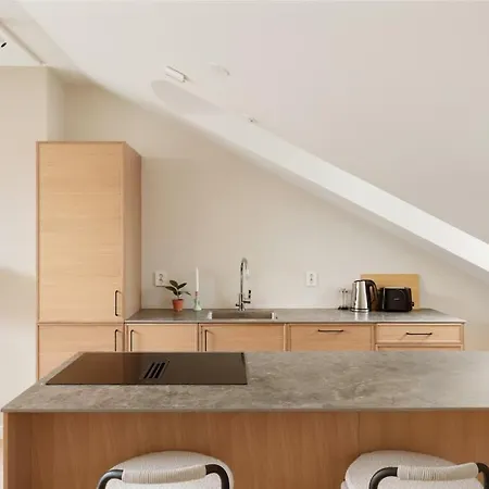 아파트 Dinbnb Gruenerlokka I Penthouse With Private Rooftop I 2 Bedrooms & 1 Bathroom