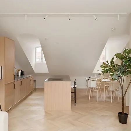 Dinbnb Gruenerlokka I Penthouse With Private Rooftop I 2 Bedrooms & 1 Bathroom 아파트 *